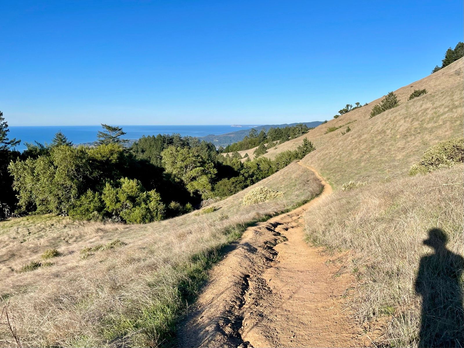 Classic Marin Single Track